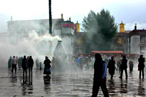 lhasa