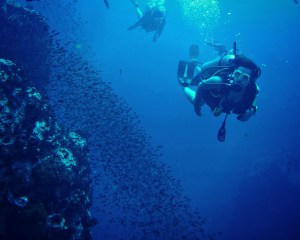 diving