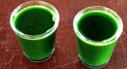 A Shot of Wheatgrass to Start the Day.