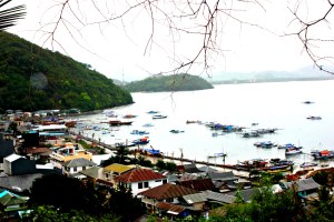 Flores Harbour