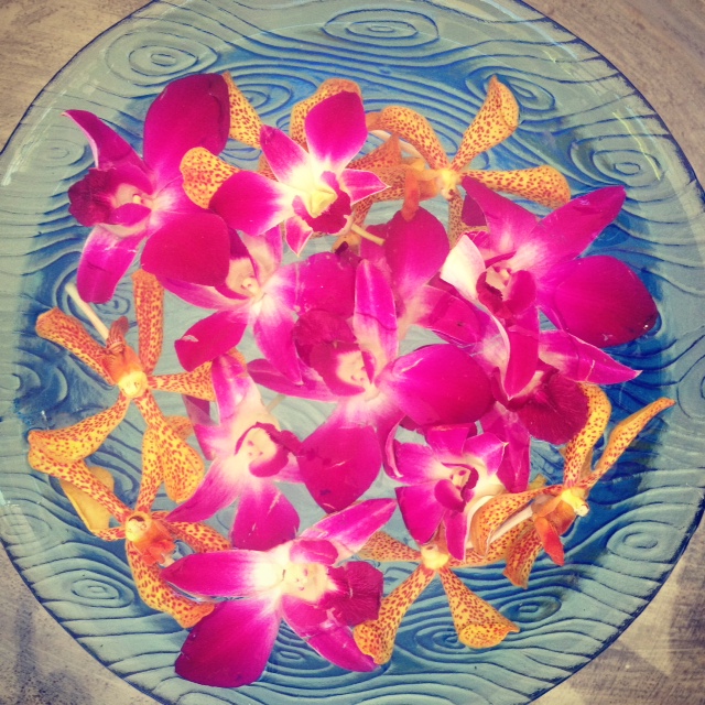 Flowers Thailand