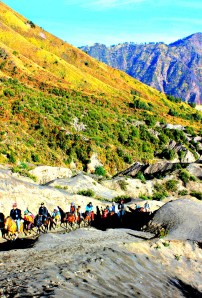 Volcano Hike