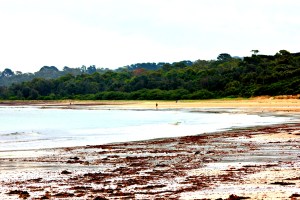 Australia beach