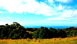 Scenery Great Ocean road