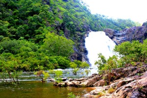 Cape Tribulation