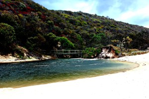 Eli Creek.