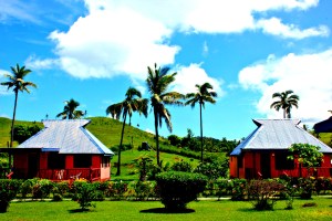 Fiji Island
