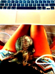 Cat Mac