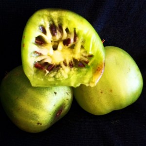 fruit