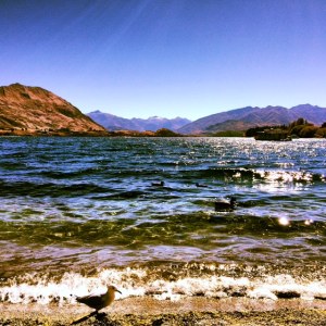 Stunning Wanaka!