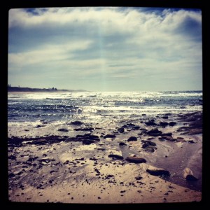 Sharky Waters