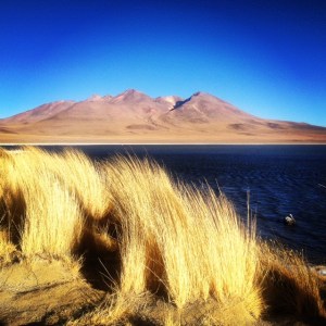 landscape 1