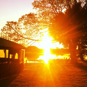sunset pantanal 2