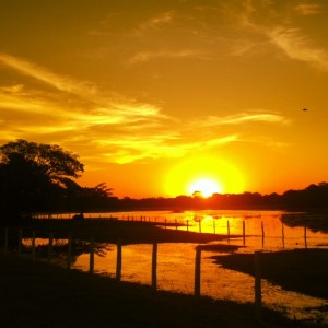 sunset pantanal