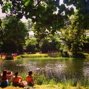 Festival, lake
