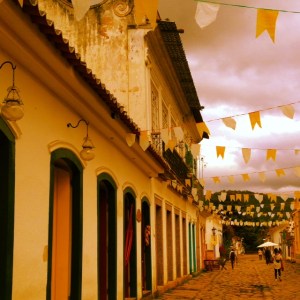 Bunting_Paraty_Brazil