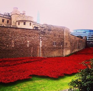 Tower_poppies_London