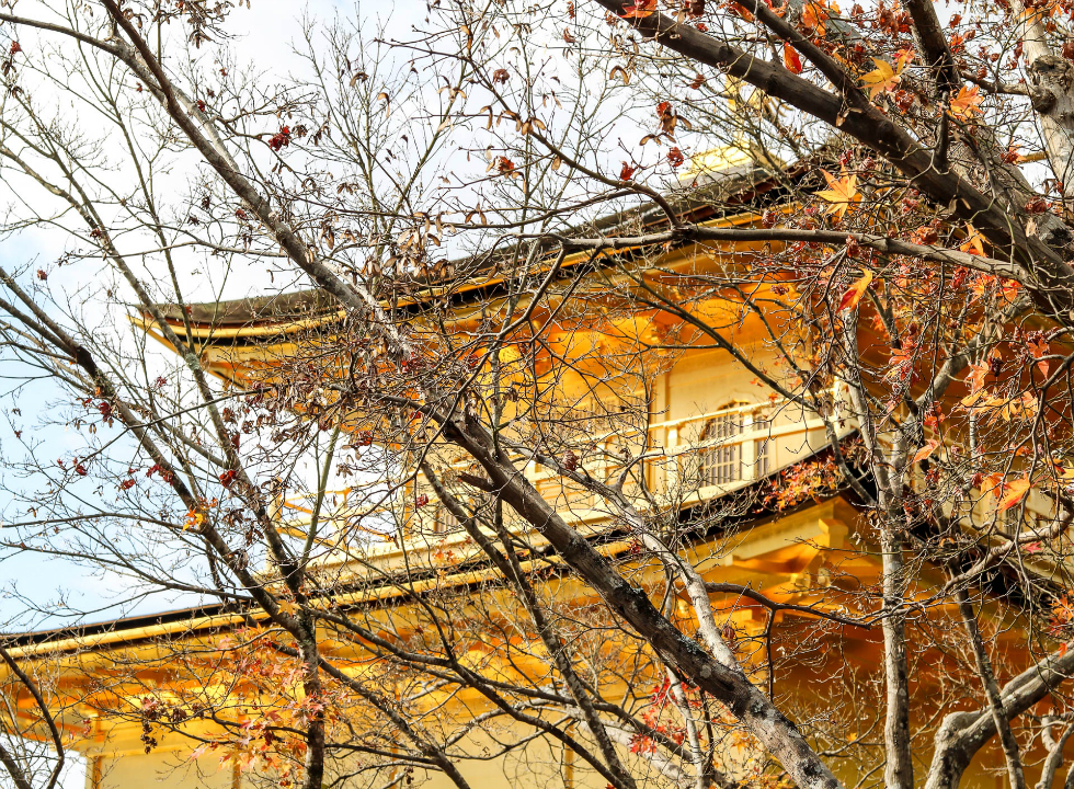 Japan-Autumn-temple