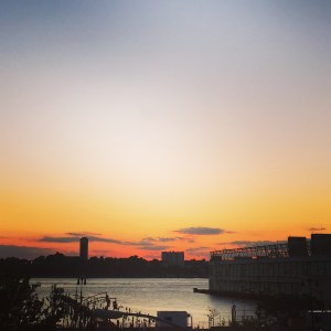 New York Skyline